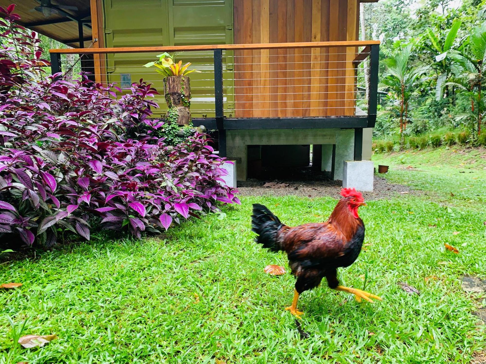 Casa Rionegro At Margarita Hills Puerto Viejo de Talamanca